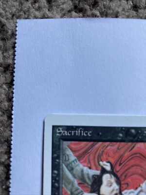 MTG  【REVISED 】Sacrifice等　計１６枚 Amazon.com: Magic: the Gathering - Sacrifice - Revised