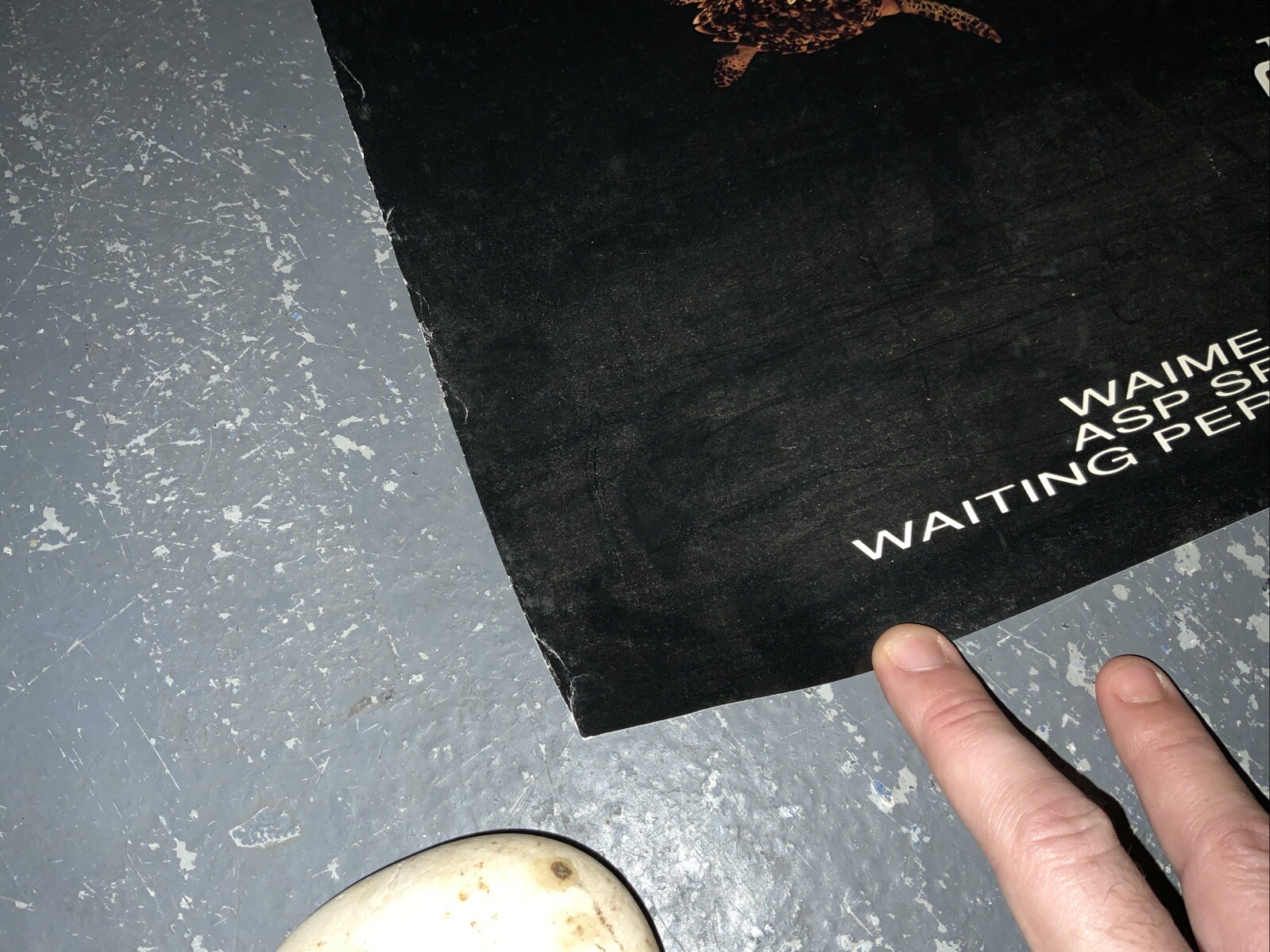 VINTAGE EDDIE AIKAU POSTER SURF QUIKSILVER 1990-91 WAIMEA BAY ORIGINAL RARE