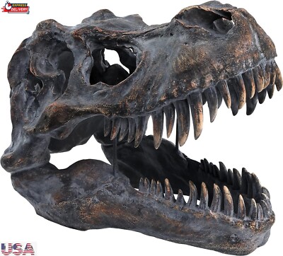Tyrannosaurus Large Skull Dinosaur Bone Big T-Rex Head Resin 