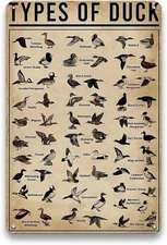 Duck Hunting Metal Sign 8x12 Vintage Wall Decor for Cabin Man Cave Room