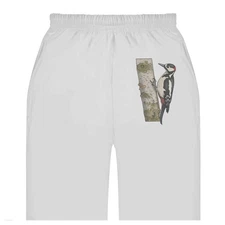 'Woodpecker On Tree' Adult Sweatpants / Joggers (JO046500)