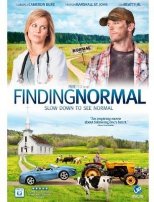 Finding Normal [Used Very Good DVD] Subtitled, Widescreen