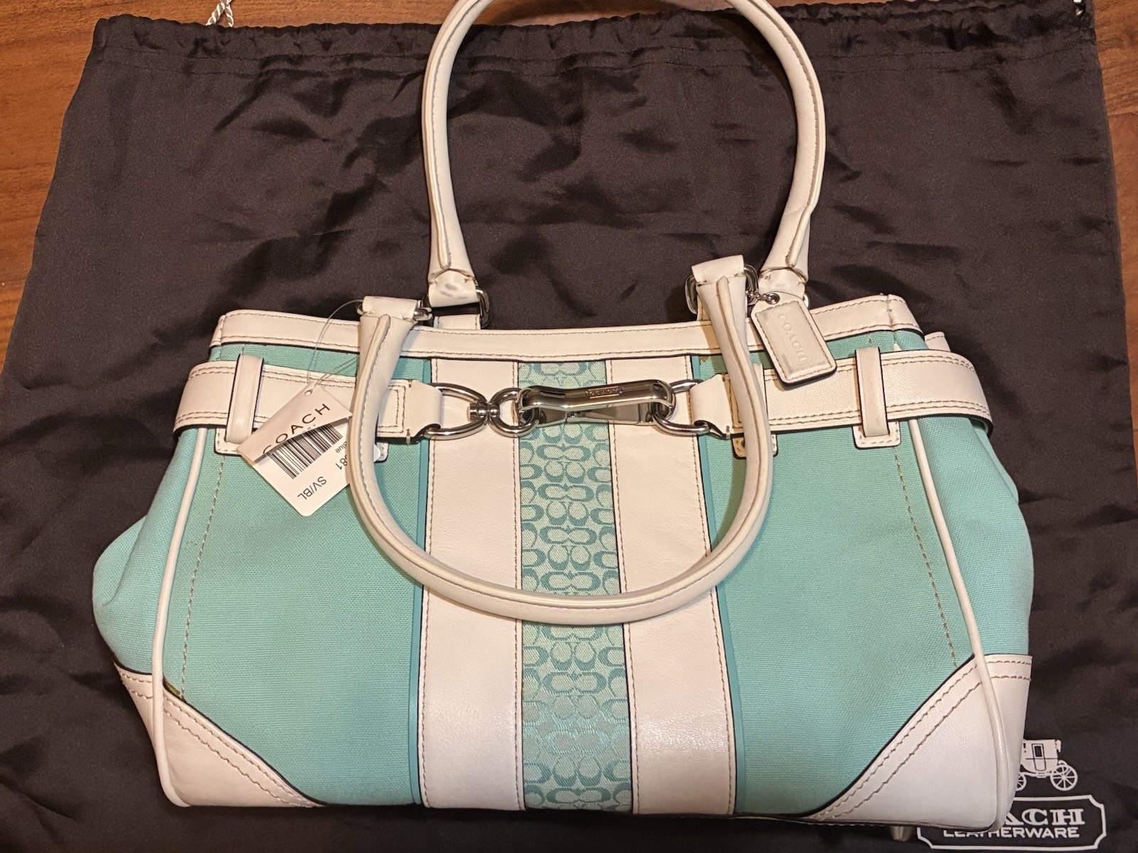 Y2K Teal Coach Bag Canvas Women’s Hand Bag Hampton Satchel