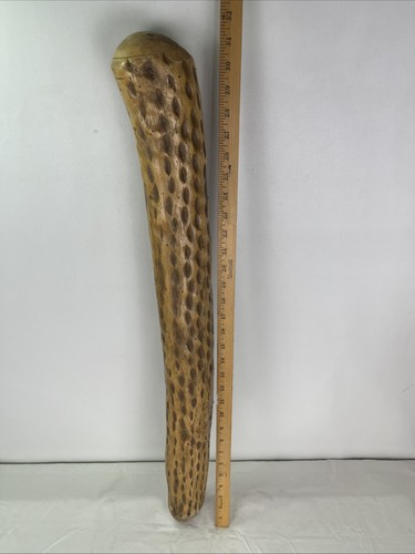 VTG 90's The Magical Rainstick Rain Stick Musical Instrument 32" Cactus Branch - Picture 5 of 8