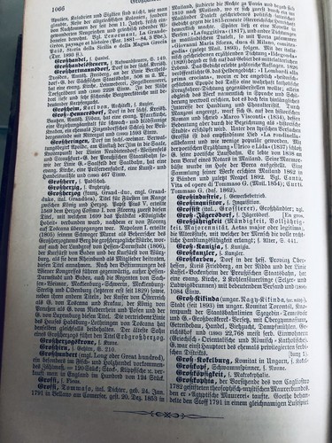 Meyers Konversationslexikon, N7 Band Auflage 1897 - Bild 9 von 24