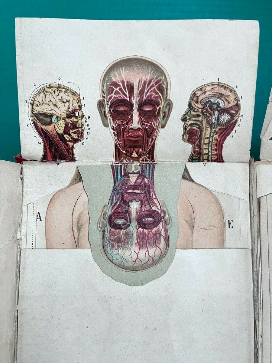 Das Neue Naturheilverfahren (1902) By F. E. Bilz w/ Body Das Neue Naturheilverfahren (1902) By F. E. Bilz w/ Body