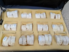 Vintage Dentures Salesman Sampler 12 Resin False Teeth Sets Lot Horror Rare