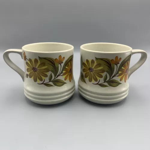 Vintage Capri Bake Serve'n Store Stoneware Coffee Mugs Set Of 2 Retro