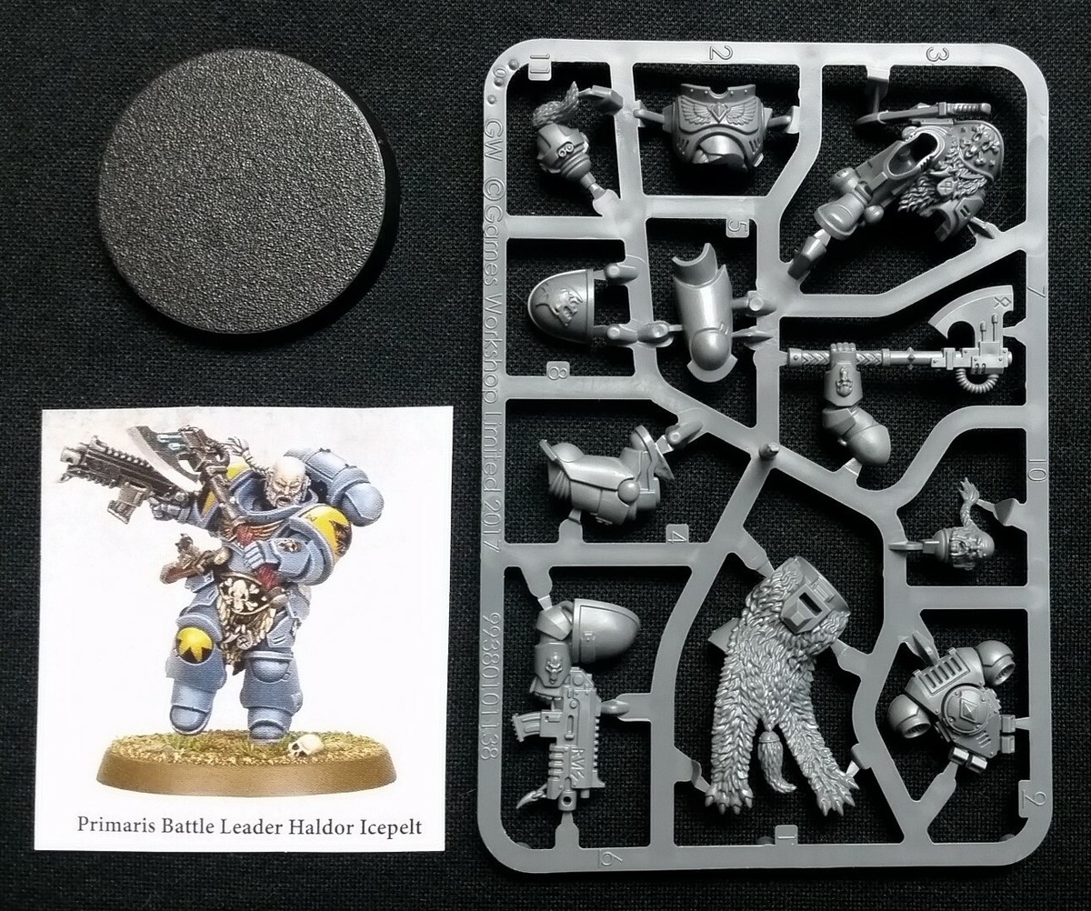 40k Lieutenant Axe Haldor Icepelt Space Wolves Primaris Battle