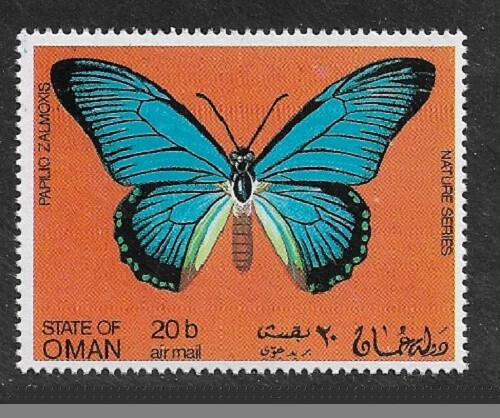 BUTTERFLIES Papilio Zalmoxis State of Oman 1969 GIANT BLUE SWALLOWTAIL Butterfly - Picture 1 of 1