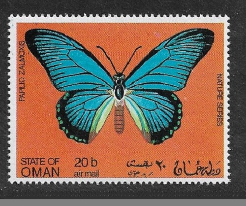 SCHMETTERLINGE Papilio Zalmoxis Staat Oman 1969 RIESIGER BLAUER SCHWALBENSCHWANZ Schmetterling - Bild 1 von 1