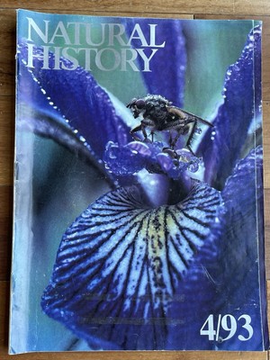 Natural History April 1993 Pistil-packing Flies How Did Humans Get That Way?