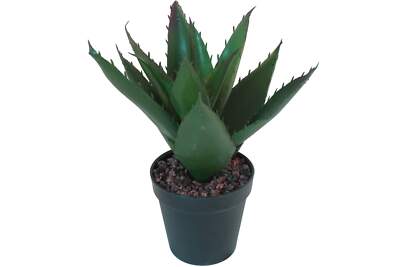 aloe vera hyaluronic acid Best Hyaluronic Acid Serum With 2% HA And Three Molecular Weights For Deep Skin Penetration Aloe Vera Infused