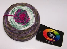 4oz Done Roving FROLICKING FEET TRANSITIONS HandPainted Merino Yarn GARDEN WALK