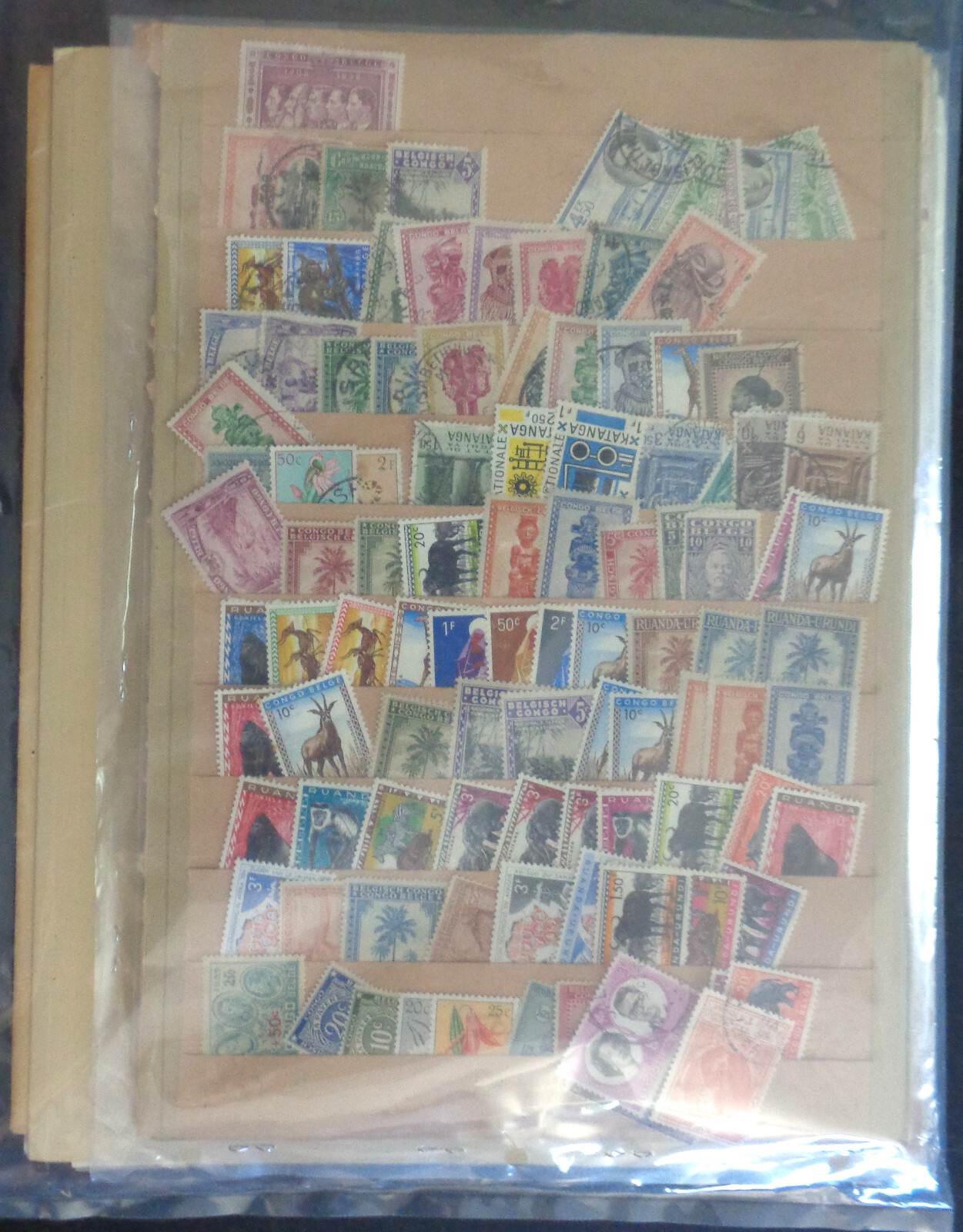 Picture 5 of 6