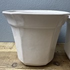 Picture 8 of 15