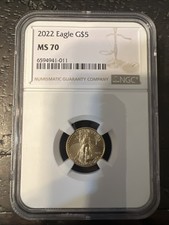  on The Hot Collector