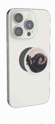 Pedro the Racoon Popsocket