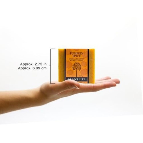 Plantlife Pumpkin Spice Bar Soap - Moisturizing and Soothing Soap for Your Sk... - Picture 5 of 6