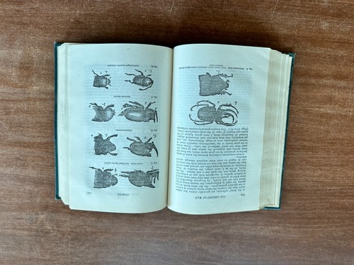 The Descent of Man and Selection in Relation to Sex; Charles Darwin; 1874; HC OK - Picture 12 of 18