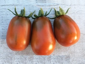 Tomaten Samen Black Dragon Dark Tomaten Bio Samen Ukraine 20 Samen D