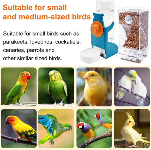 Automatic Bird Feeder and Water Dispenser for Parrots and Small Birds (4 Pcs) - Picture 8 of 12