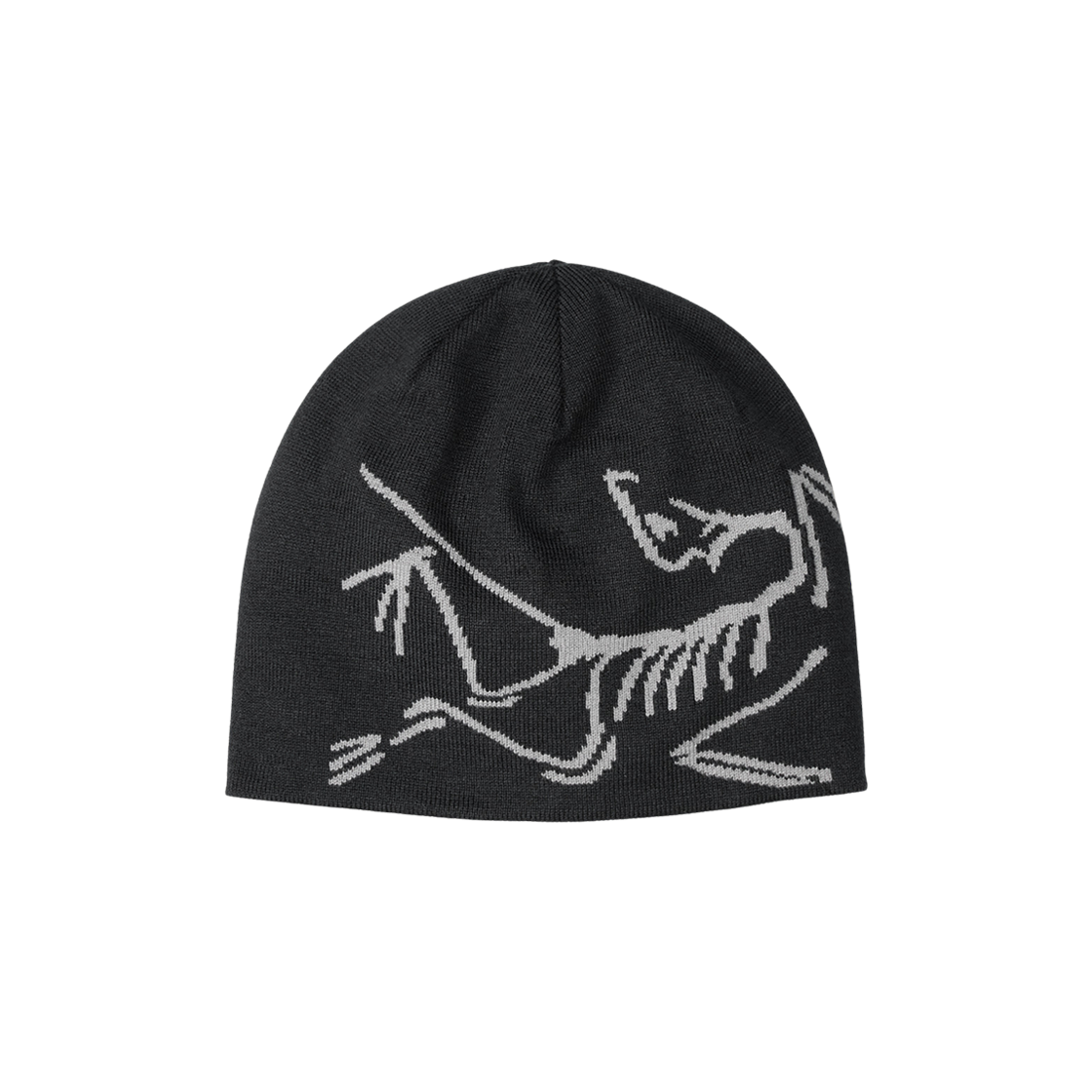 帽子 ARC'TERYX Bird Head Toque \