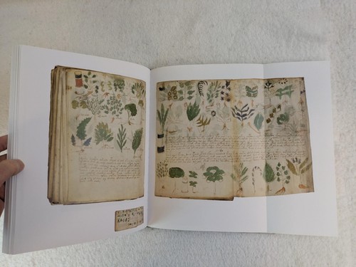 Raymond Clemens THE VOYNICH Manuscript 2016 Yale University Press First Edition - Picture 7 of 12