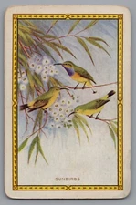S) ONE Single Swap Playing Card Artistic King Of Spades Artistic Birds Vintage