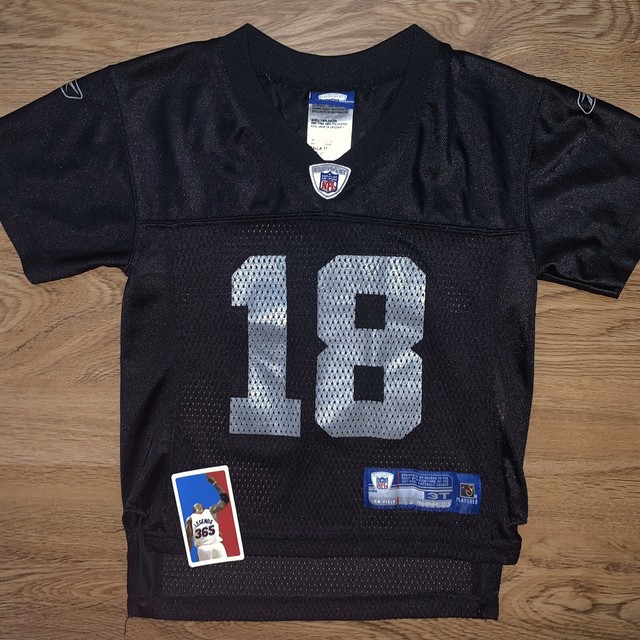 Randy Moss Size 3T Oakland Raiders NFL Football Toddler Jersey Reebok
