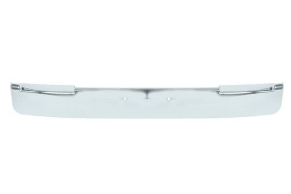 Left Front BLIC 6502-07-0925920P Trim/Protection Strip, bumper