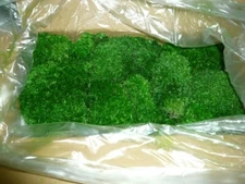 Preserved Pole Moss Pillow 3.0 Sq Ft