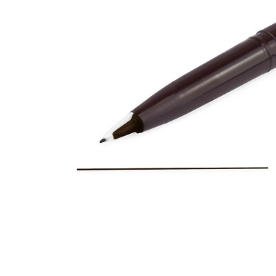 Pentel JM20 Stylo Disposable Fountain Pen Sepia Ink Pack of 3 | eBay