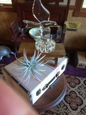 Vintage handmade Cambridge clear glass flower frog Flying sea gull 3D effect