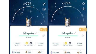  Shiny (Schillernd) Morpeko Pokemon GO  Exchange or PTC