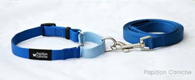 Martingale Collar and Leash Set by Papillon Caniche Nylon for Pets Dogs Puppies