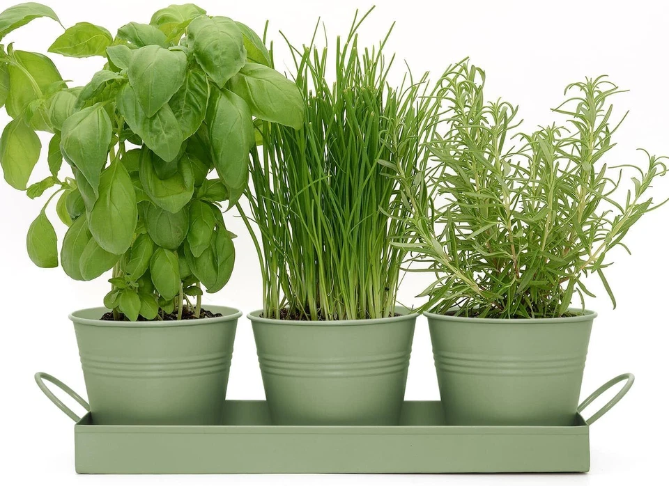 Indoor Herb Planters Tray Kitchen Windowsill Plant Pot With Handle Charcoal Set - Image 3 of 4