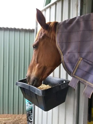 Horse Stables In Adelaide Region Sa Gumtree Australia Free Local Classifieds Horse Stables In Adelaide Region Sa Gumtree Australia Free Local Classifieds