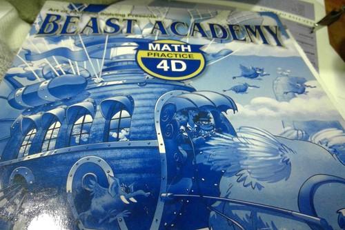 Beast Academy Mathe Praxis 4D