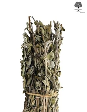 Wild Greek Sage Herbal Tea Whole Bunch 220g-1.95kg Harvest 2025 Premium Quality