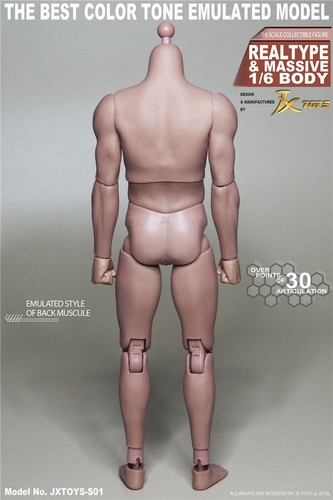 JX TOYS 1/6 Scale Emulated Male Muscular 12" Figure Body JXS01 U.S.A. IN STOCK - Picture 3 of 6
