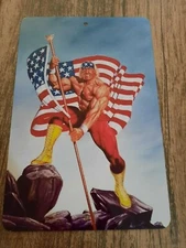 Hulk Hogan Holding USA Flag Real American Artwork 8x12 Metal Wall Sign