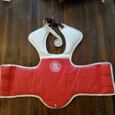 taekwondo chest protector #1