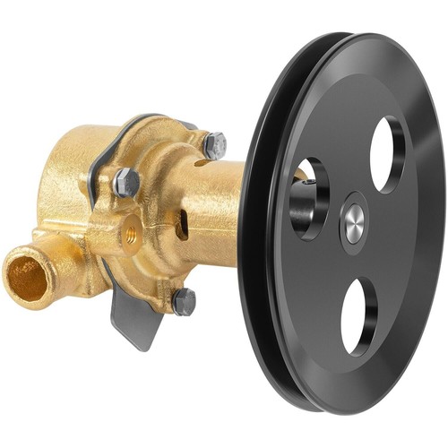 Bomba de agua para Sherwood Pleasurecraft G20 G21 PCM 351 RA057007 Jabsco 18830-0010 - Imagen 16 de 16