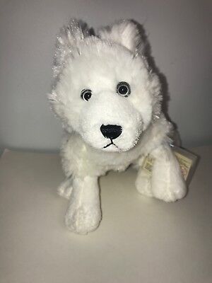 NEW Webkinz Arctic Fox w/ Sealed Code 661371613512 | eBay NEW Webkinz Arctic Fox w/ Sealed Code 661371613512 | eBay