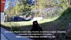 Video 1 von 1