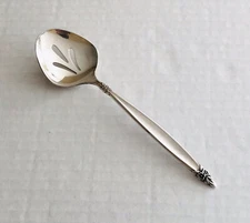 International Silver 1847 Rogers Bros Garland Sugar Sifter Spoon Pierced