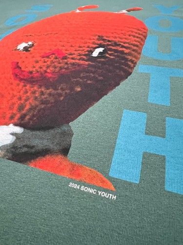 Levi’s Sonic Youth T-Shirt L Oversize New BNWT Sold Out Rare Green Dirty Album - Imagen 5 de 11