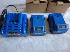 Kobalt 24V Lithium Ion Battery - 2 Pack and Charger