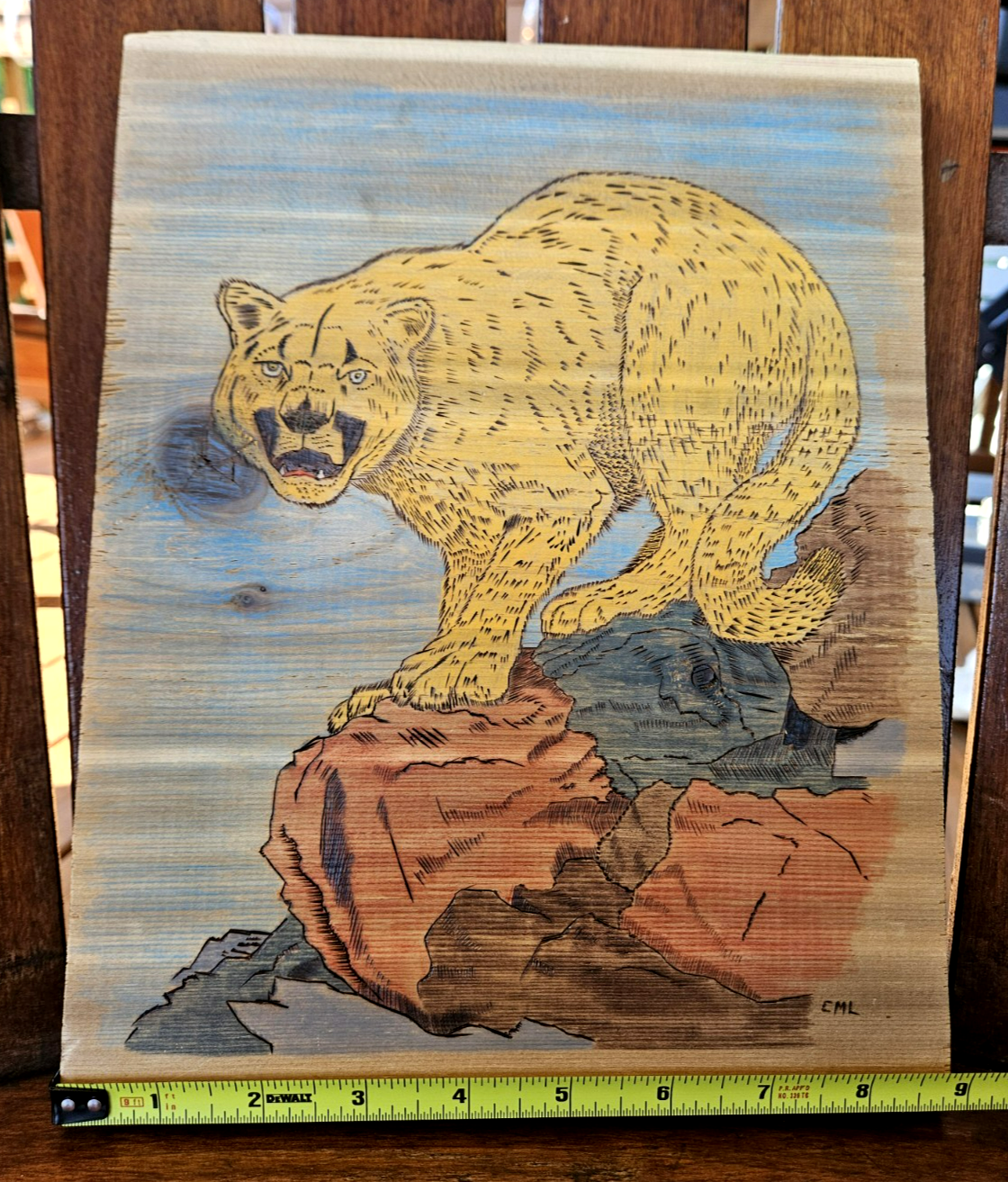 Picture 9 of 15